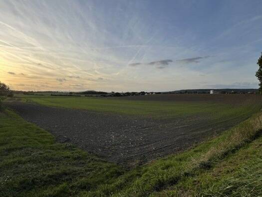 Land-/Forstwirtschaft zum Kauf 111.885 m² Grundstück Hambühl Baudenbach 91460