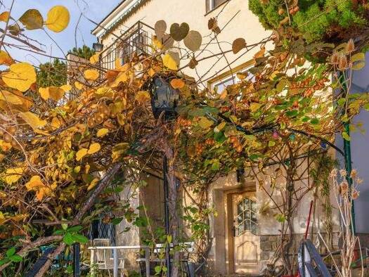 Einfamilienhaus zum Kauf 1.812.000 € 5 Zimmer 170 m² 1.186 m² Grundstück Wien 1190