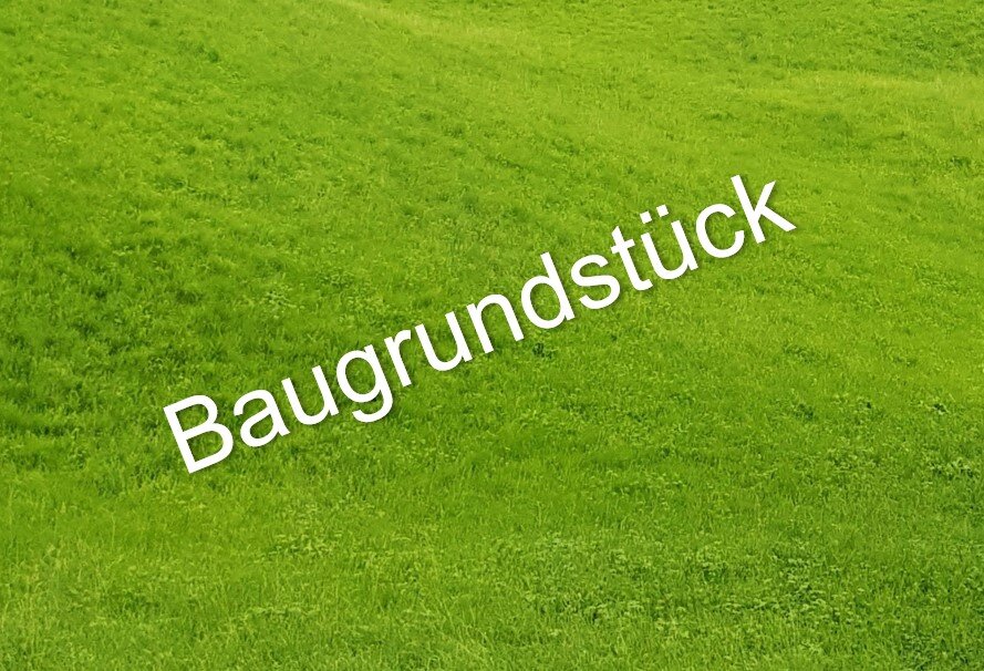 Grundstück zum Kauf 3.700 m²<br/>Grundstück Lichtental Baden-Baden 76530