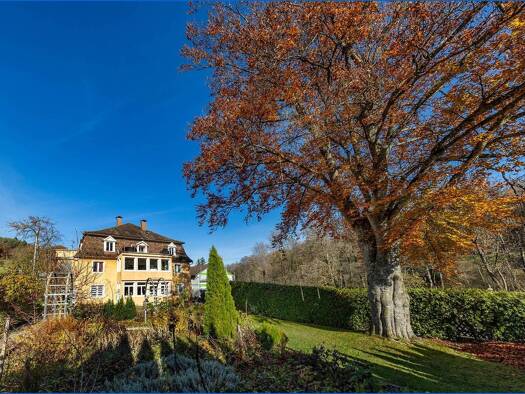 Villa zum Kauf 869.500 € 14 Zimmer 565 m² 1.430 m² Grundstück Zizenhausen Stockach / Zizenhausen 78333