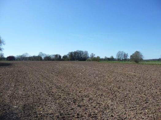 Haus zum Kauf 34.633 m² Grundstück Langen Badbergen 49635