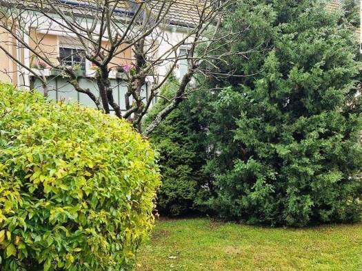 Wohnung zum Kauf 77.300 € 3 Zimmer 74 m² frei ab sofort Schwarzenberg Schwarzenberg/Erzgeb. 08340