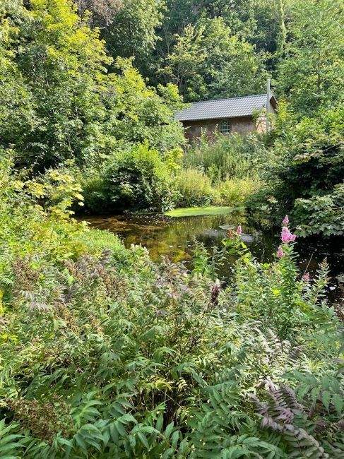 Immobilie in Sülfeld - Sanierte Eigentumswohnung in historischer Wassermühle von 1790 - Borstel / Sülfeld - - Bild 3