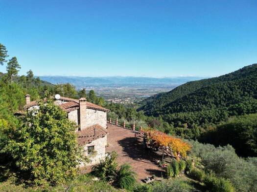 Bauernhaus zum Kauf 790.000 € 9 Zimmer 240 m² 330.000 m² Grundstück frei ab sofort Buti/Pisa 54032