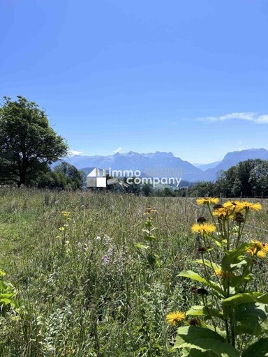 Land-/Forstwirtschaft zum Kauf 120.000 m² Grundstück Salzburg Salzburg 5020