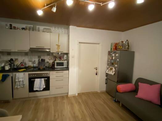 Wohnung zur Miete 520 € 2 Zimmer 45 m² frei ab 01.10.2026 Erlangen-Ost Erlangen 91052