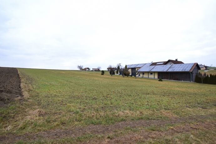 Landwirtschaftliche Fläche zum Kauf 13.300 m²<br/>Fläche Ruhstorf Ruhstorf a.d.Rott 94099