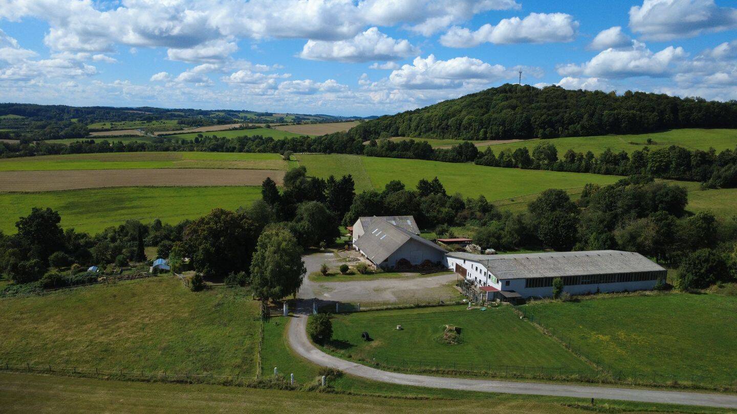 Land-/Forstwirtschaft zum Kauf - Ansicht 2