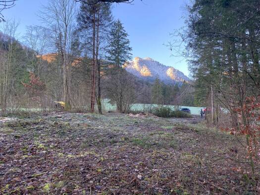 Grundstück zur Miete provisionsfrei 120 € 1.000 m² Grundstück frei ab sofort Raut Schlehdorf 82444