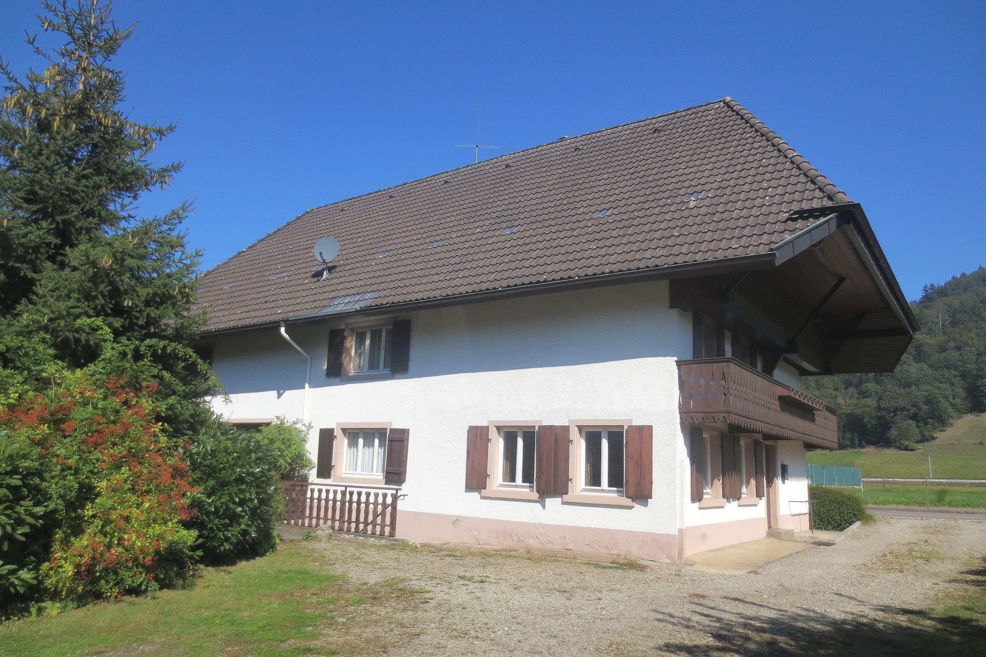 Mehrfamilienhaus zum Kauf 620.000 € 8 Zimmer 194 m²<br/>Wohnfläche 1.565 m²<br/>Grundstück ab sofort<br/>Verfügbarkeit Untermünstertal Münstertal 79244