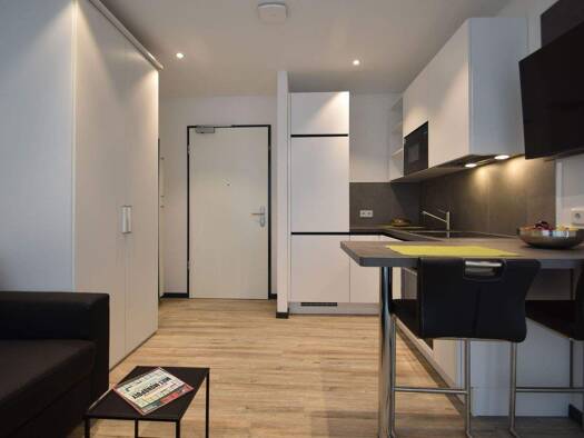 Wohnung zur Miete auf Zeit 950 € 2 Zimmer 34 m² frei ab sofort Offenbach am Main Offenbach am Main 63065