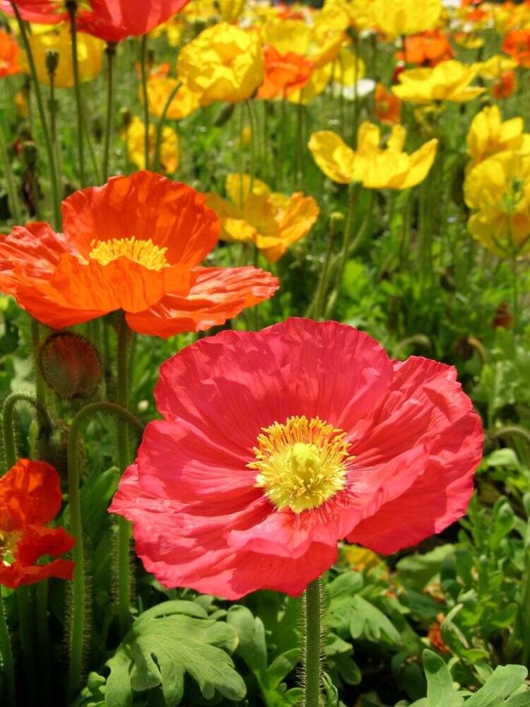 Property thumbnail 9