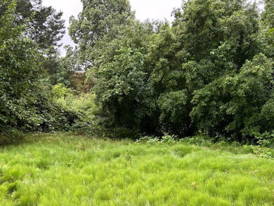 Grundstück zum Kauf 680.000 € 1.539 m² Grundstück Braunschweig / Schuntersiedlung 38108