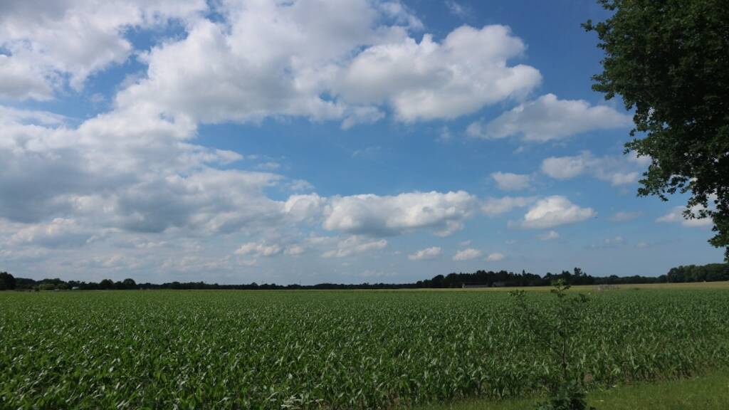 Land-/Forstwirtschaft zur Miete 42.979 m² Grundstück Südende I Rastede 26180