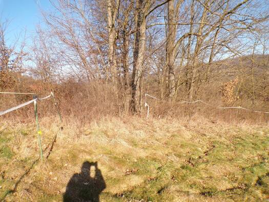 Grundstück zum Kauf 87.740 € 937 m² Grundstück Hagenring 60 Friedland 37133