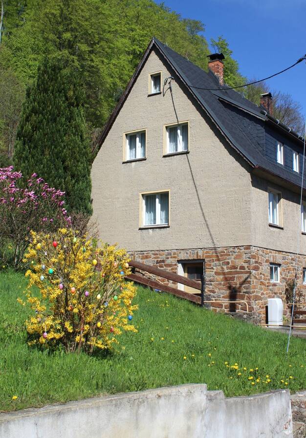 Doppelhaushälfte zum Kauf 65.000 € 5 Zimmer 86 m² 466 m² Grundstück Rothenthal Olbernhau 09526