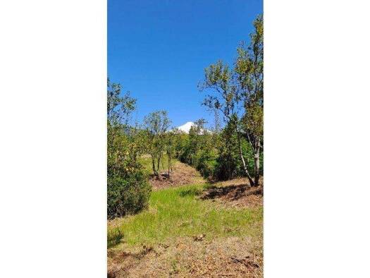 Büro zum Kauf 85.000.000 € Pucon