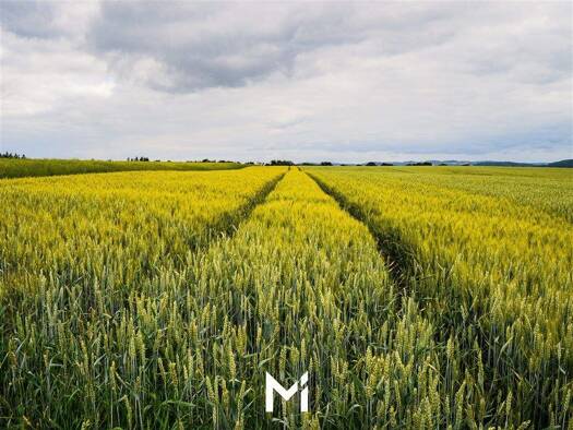 Landwirtschaftliche Fläche zum Kauf 13.256 m² Grundstück Landesbergen 31628