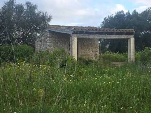 Acker-/Waldstück zum Kauf 120.000 € Felanitx 07200