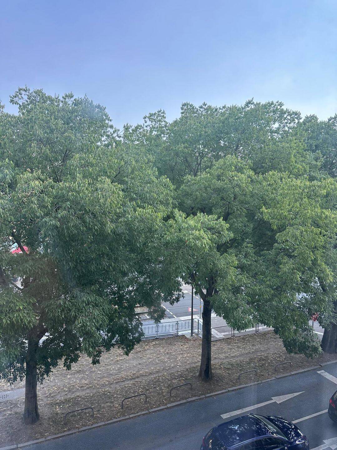 Property thumbnail 20