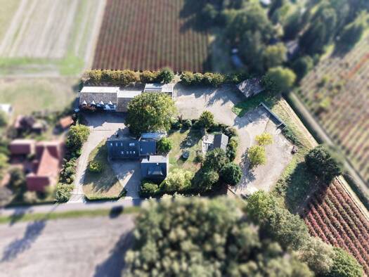 Mehrfamilienhaus zum Kauf 849.000 € 20 Zimmer 1.462,5 m² 11.048 m² Grundstück Ströhen Wagenfeld 49419