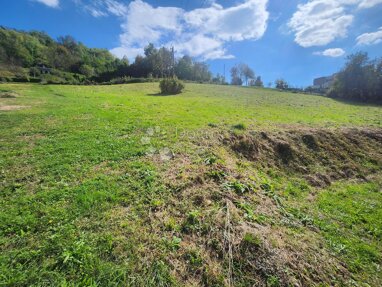 Land-/Forstwirtschaft zum Kauf 237.000 € Stenjevec 10000