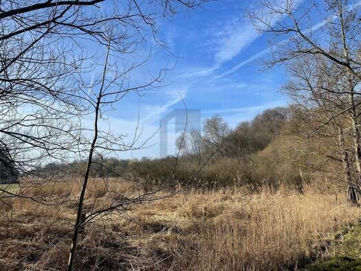 Land-/Forstwirtschaft zum Kauf 299.000 € 4.318 m² Grundstück Krummesse 23628