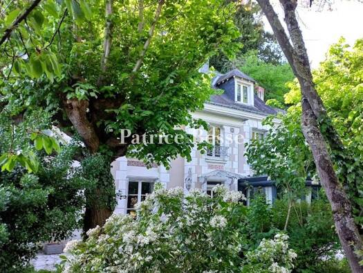 Reihenmittelhaus zum Kauf 890.000 € 7 Zimmer 225 m² 1.700 m² Grundstück Paul Bert Tours 37100