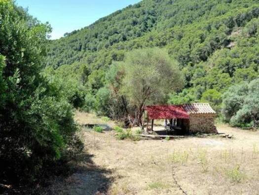 Acker-/Waldstück zum Kauf 330.000 € Gaucín 29480