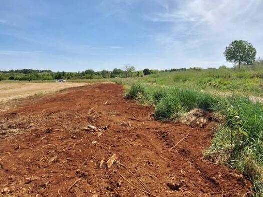 Acker-/Waldstück zum Kauf 44.000 € Brtonigla 52474