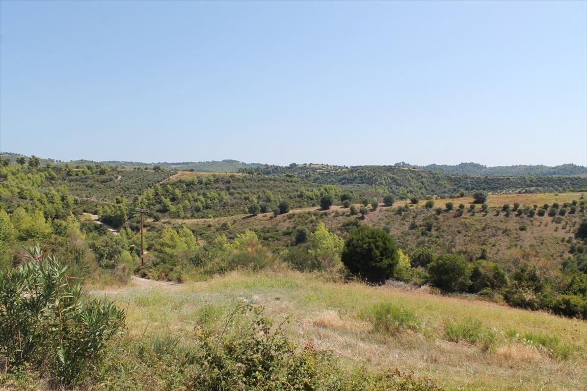 Land-/Forstwirtschaft zum Kauf 140.000 € 13.000 m²<br/>Grundstück Chalkidiki