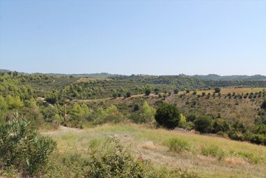 Land-/Forstwirtschaft zum Kauf 140.000 € 13.000 m² Grundstück Chalkidiki