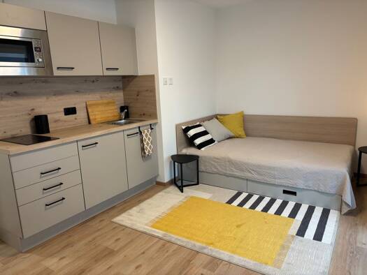 Terrassenwohnung zur Miete 455 € 1 Zimmer 28 m² Geschoss EG/3 frei ab sofort Kräutlerstraße Deggendorf 94469