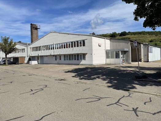 Lagerhalle zur Miete provisionsfrei 2,90 € 690 m² Lagerfläche teilbar ab 180 m² Limburgstraße 6 Sasbach Sasbach am Kaiserstuhl 79361