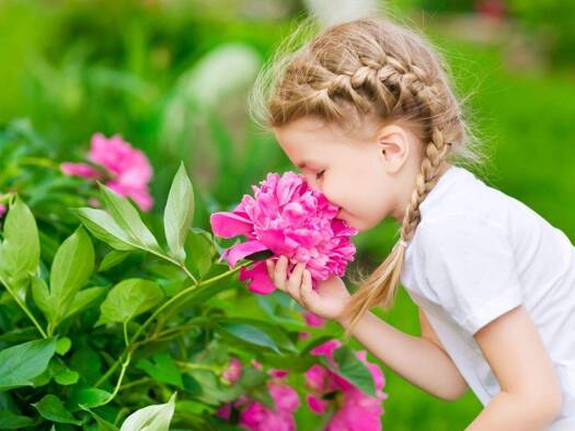 Einfamilienhaus zum Kauf 280.200 € 4 Zimmer 133,7 m² 300 m² Grundstück Leutesdorf 56599