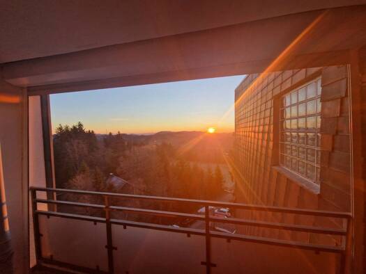 Wohnung zur Miete 550 € 2 Zimmer 50 m² frei ab 15.10.2026 Winterberg Winterberg 59955