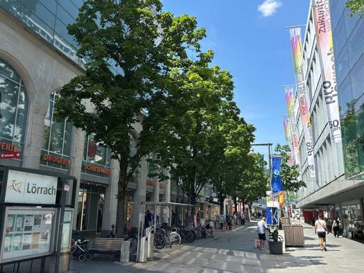 Bürofläche zur Miete 227 m² Bürofläche Tumringer Straße Lörrach 79539