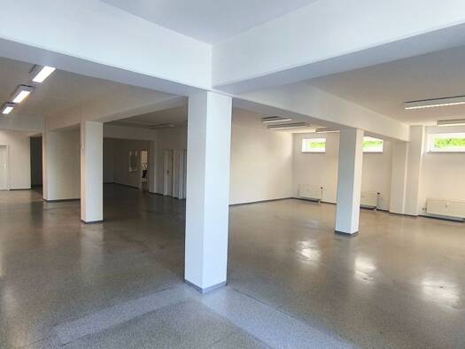 Praxisfläche zur Miete provisionsfrei 1.400 € 3 Zimmer 245 m² Bürofläche Waldenburger Straße 23 Altendorf Chemnitz 09116