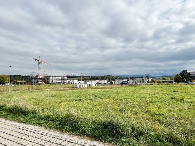 Doppelhaushälfte zum Kauf provisionsfrei 699.800 € 6 Zimmer 142 m² 214 m² Grundstück Wernau 73249