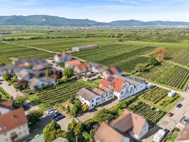 Haus zum Kauf 999.000 € 22 Zimmer 686 m² 1.868 m² Grundstück Kirrweiler 67489