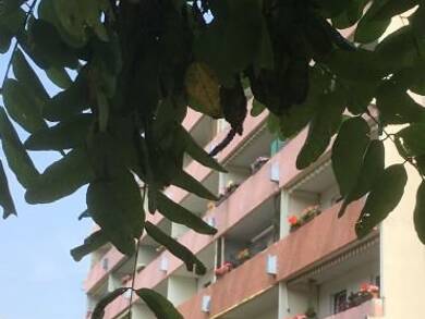 Wohnung zur Miete 375 € 3 Zimmer 68,1 m² 1. Geschoss Bergblick 3 Olbersdorf 02785
