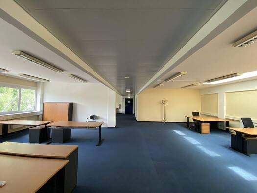 Bürofläche zur Miete 9,91 € 495,4 m² Bürofläche Salzburg 5020