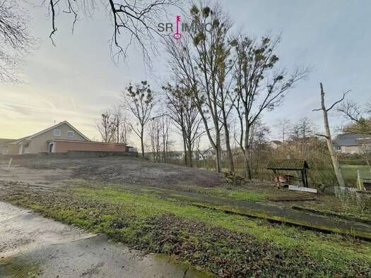 Grundstück zum Kauf provisionsfrei 179.000 € 793 m² Grundstück Stahl Bitburg 54634