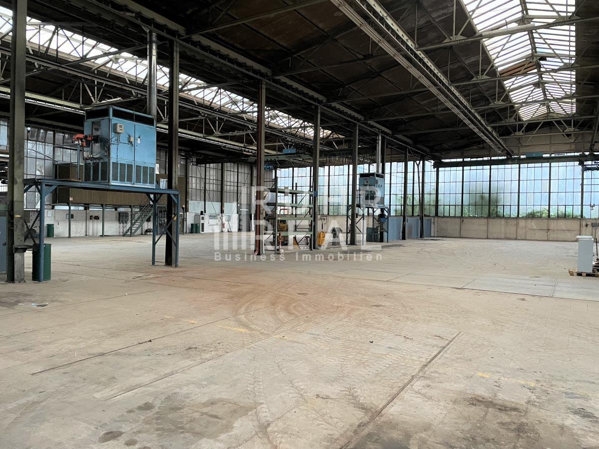 Lagerhalle zur Miete 3 € 2.000 m²<br/>Lagerfläche ab 2.000 m²<br/>Teilbarkeit Langenberg-Mitte Velbert 42555