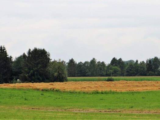 Landwirtschaftliche Fläche zum Kauf 105.288 € 8.774 m² Grundstück Göppenham Rattenkirchen 84431