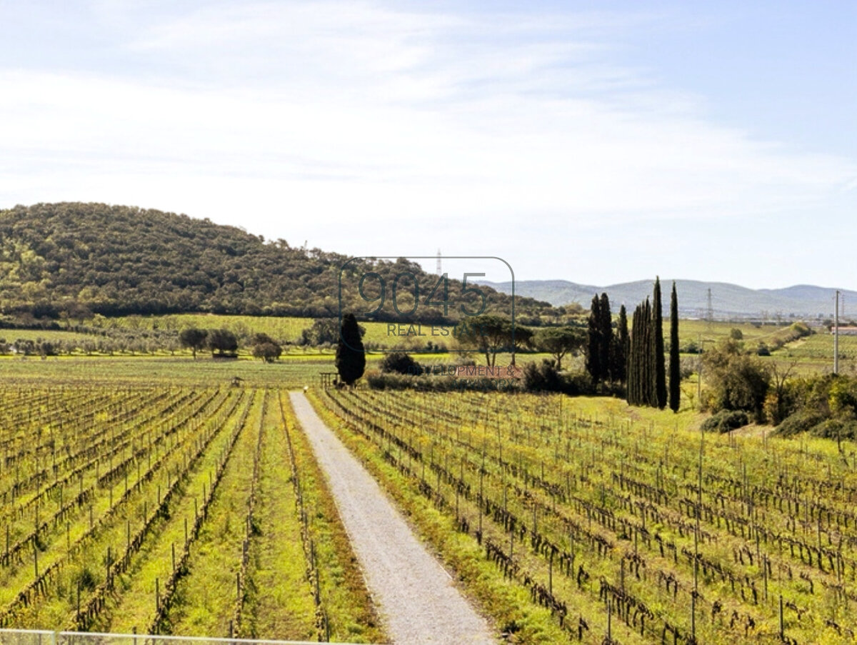 Einfamilienhaus zum Kauf 120.000 m²<br/>Grundstück Val di Cornia - Maremma