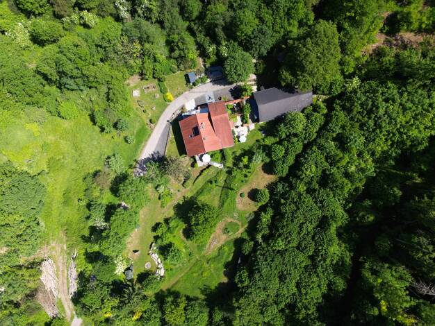 Einfamilienhaus zum Kauf 520.000 € 10 Zimmer 278 m² 3.798 m² Grundstück Bettingen Bettingen 54646