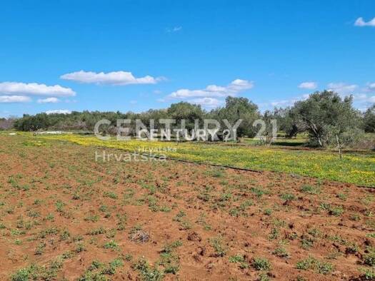 Acker-/Waldstück zum Kauf 69.500 € Biograd na Moru 23210