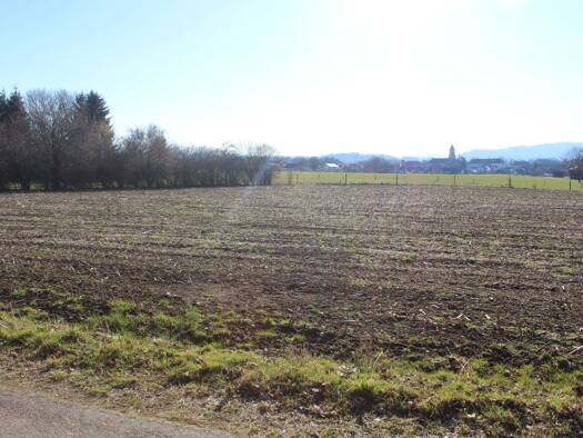 Grundstück zum Kauf 59.000 € 980 m² Grundstück Polling 82398