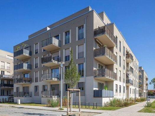 Bürofläche zur Miete provisionsfrei 1.526 € 4 Zimmer 127,1 m² Bürofläche Wendenschloßstr. 250 Köpenick Berlin 12557